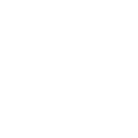 DirAct Logo (white)