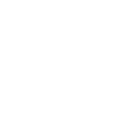 DirAct