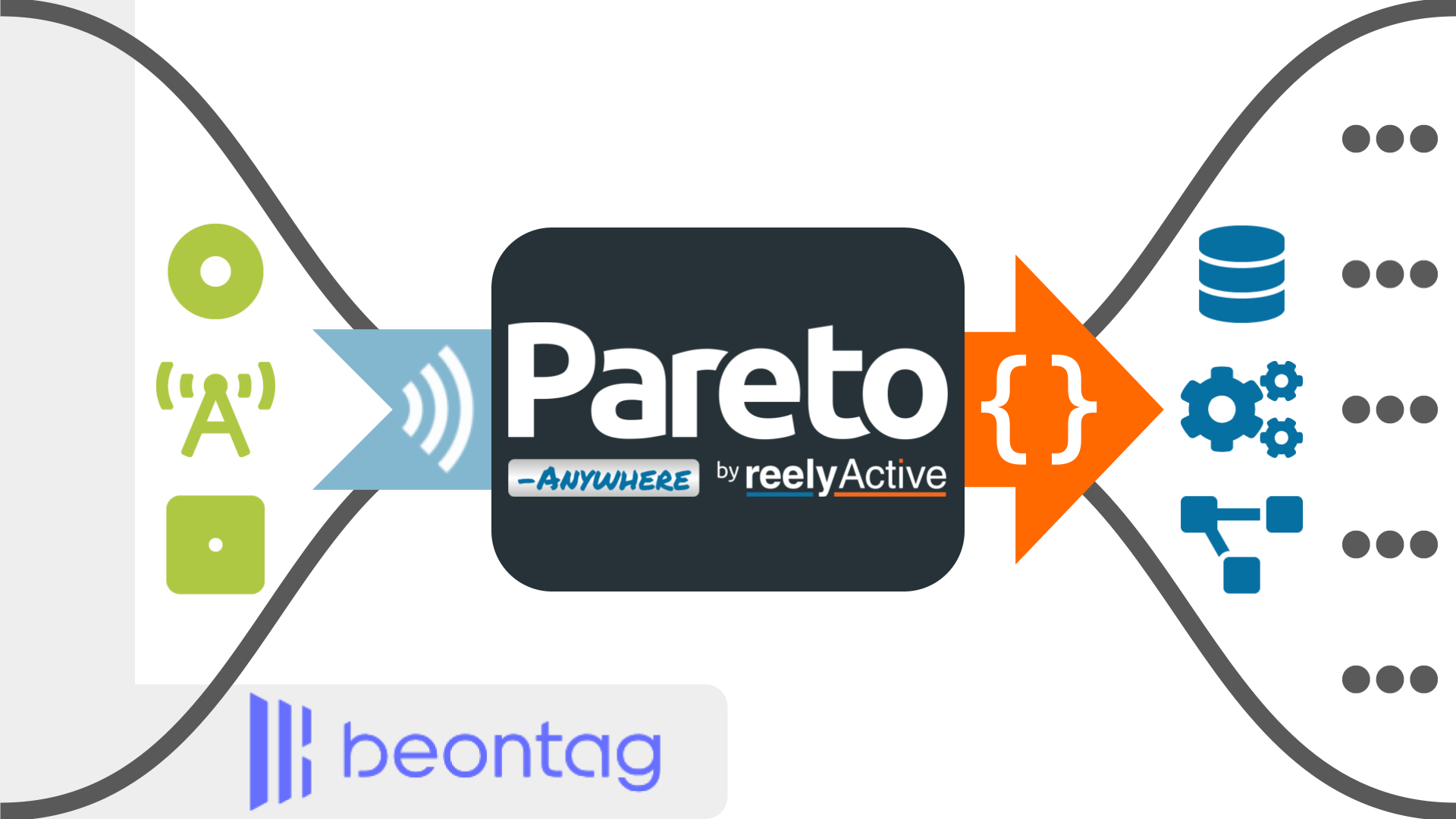 Pareto Anywhere & Beontag tags